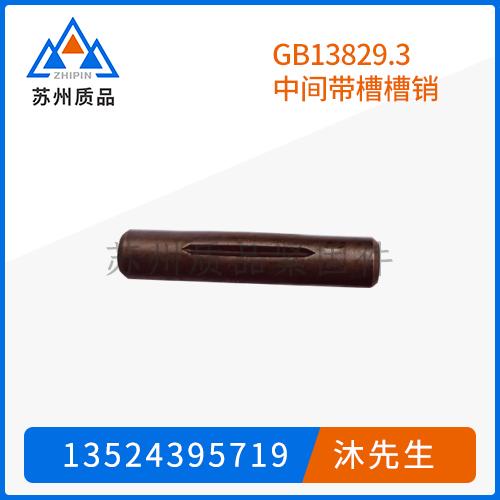GB13829.3中間帶槽槽銷