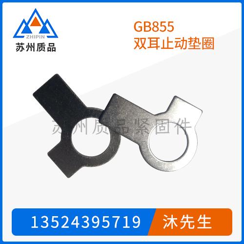 GB855雙耳止動墊圈