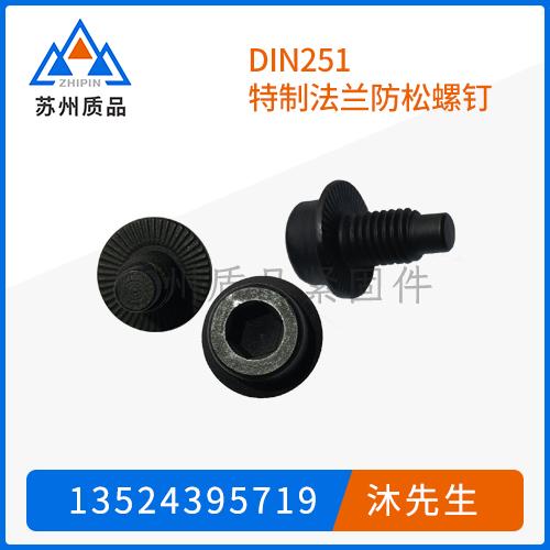 DIN251特制法蘭防松螺釘