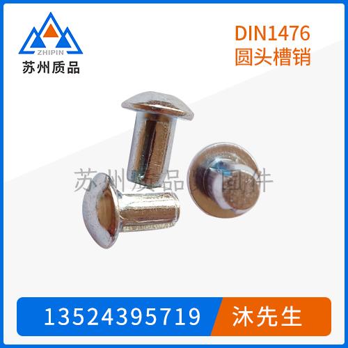 DIN1476圓頭槽銷