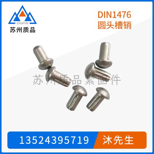 DIN1476  圓頭槽銷
