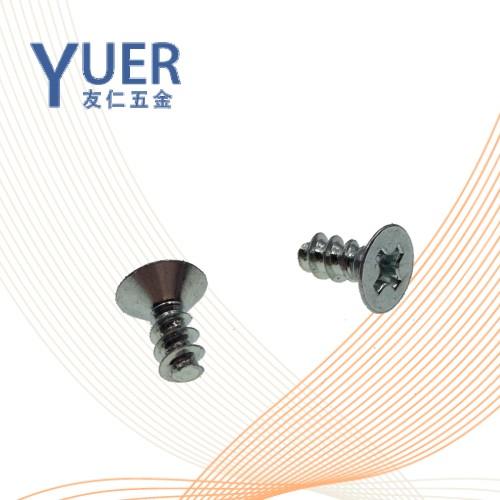 0276 精密机械用紧固件十字槽沉头螺钉 白锌 TE牙 ISO 7050