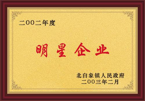 明星企業