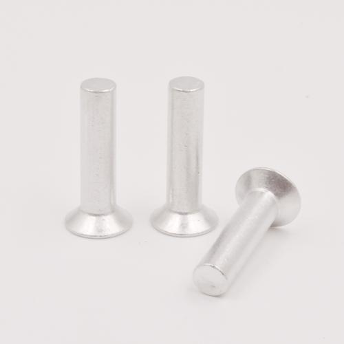 Aluminum Alloy Countersunk Head Rivet