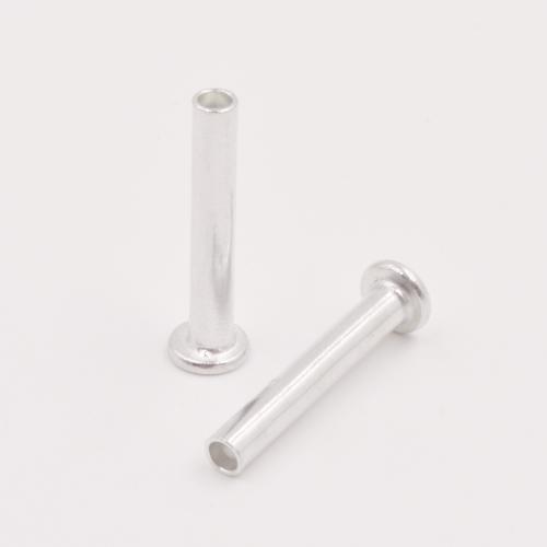 Flat Head Half Hollow Rivet