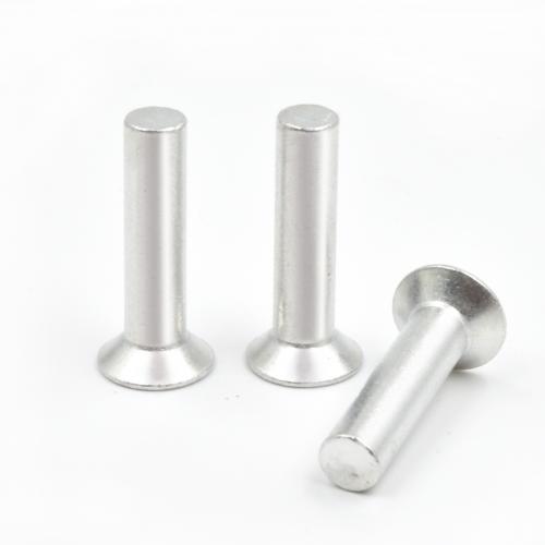 Aluminum Alloy Countersunk Head Rivet