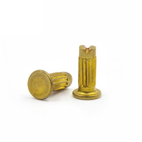 Rivets For Name Plate