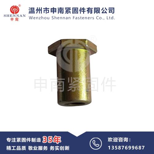 非标-六角螺母柱