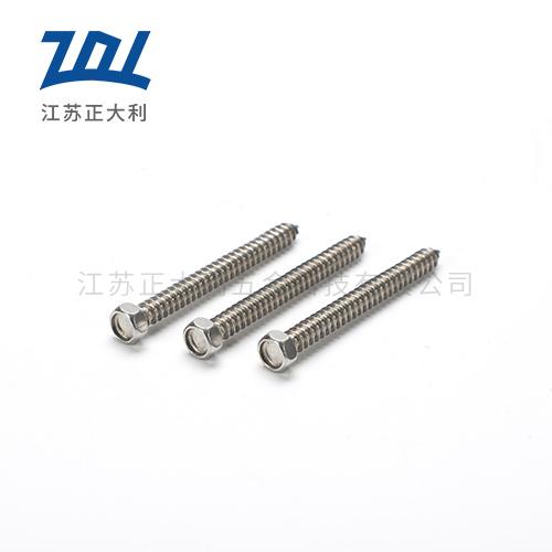 DIN7976不锈钢外六角自攻钉